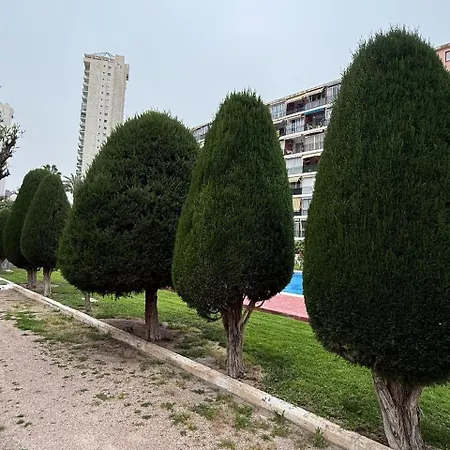 Hannibal 2 * Benidorm